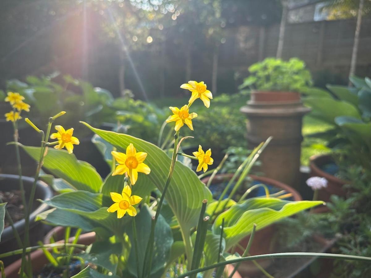 Apartamento Large 1 Bd Period Garden Flat, Kings Cross - Camden